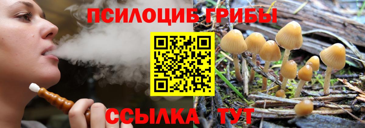 Псилоцибиновые грибы Psilocybine cubensis  наркота  Щёлково  Вход с VPN 